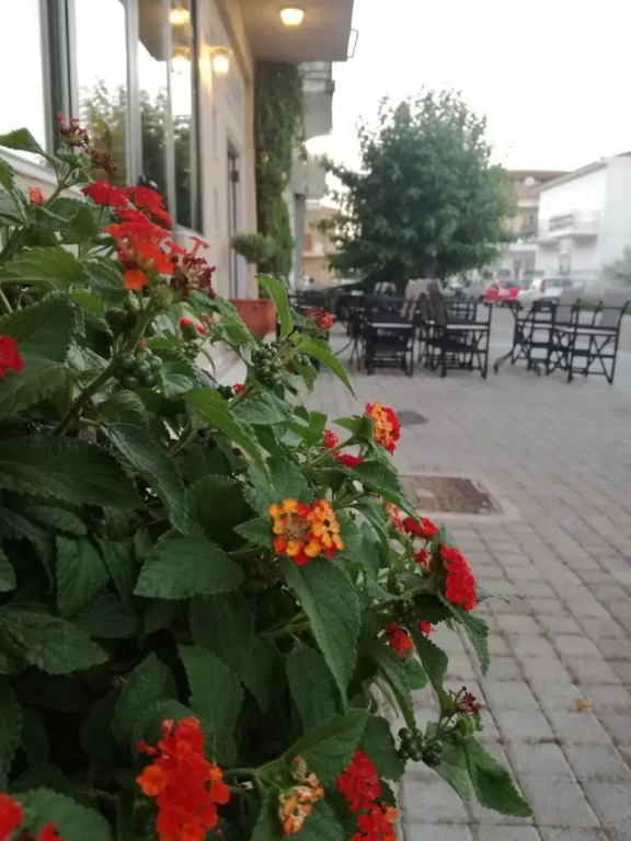 Leonidaion Guesthouse