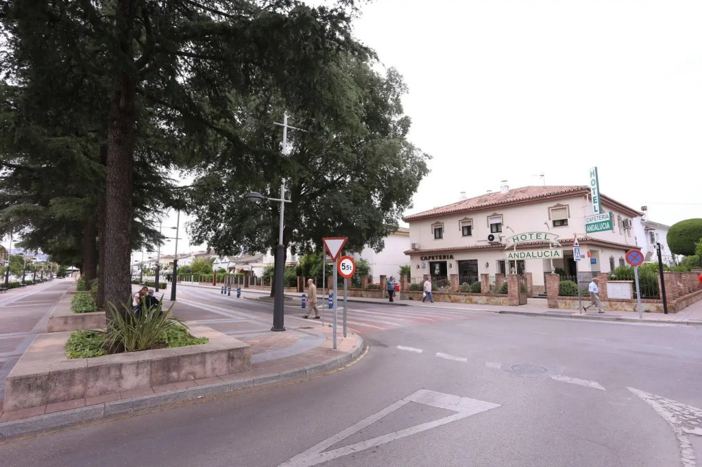 Hotel Andalucia