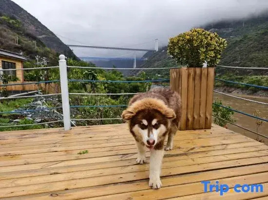 Lulin Mountain Villa Homestay (Shangri-La Tiger Leaping Gorge Scenic Area Branch)