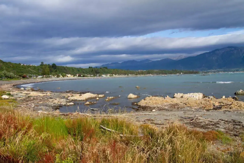 Kaikoura Seaside lodge