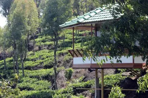 Vythirihills Nature Resort