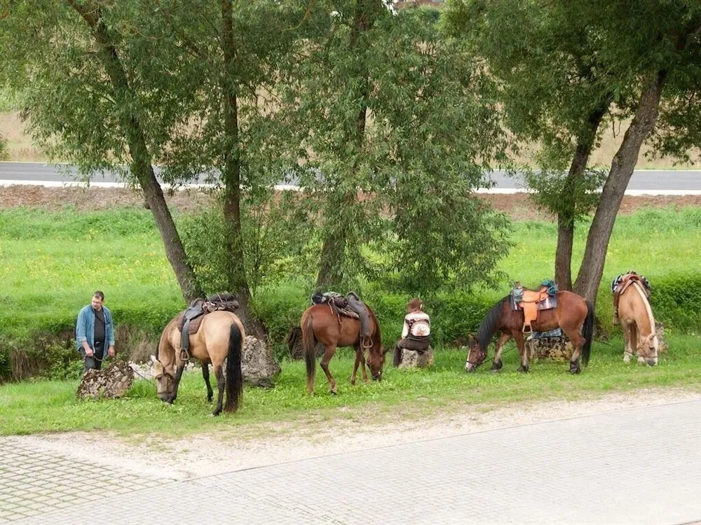 Landgasthof Feihl
