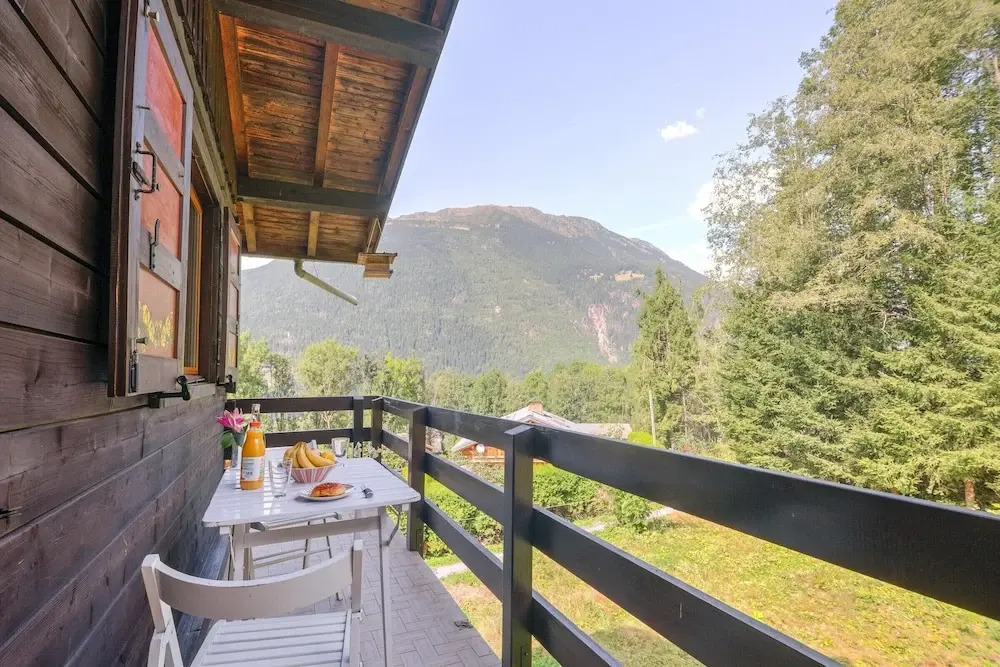 Chalet Le Petit Dru