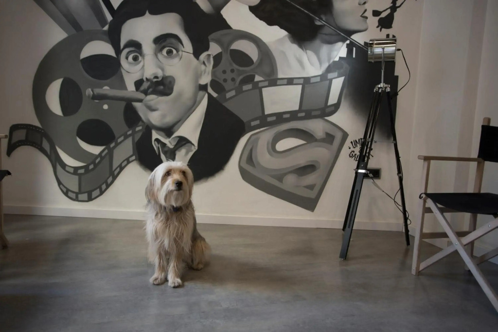 Casual del Cine Valencia by Casual Hoteles