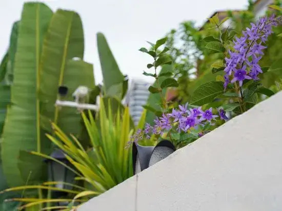 Sato-Hill Homestay