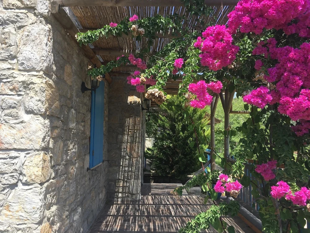 Koy Evi Apart
