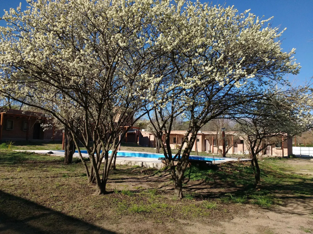 Amaikén Suites
