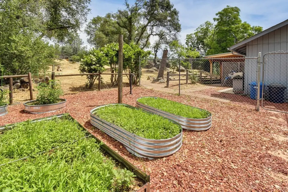 Yosemite Wellbeing Retreat on 5 Acres w/ Mtn Views