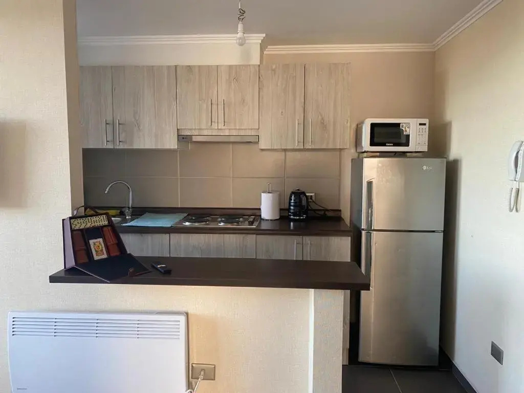 Departamento completamente equipado en Villarrica en condominio parque al volcán Antuco 505