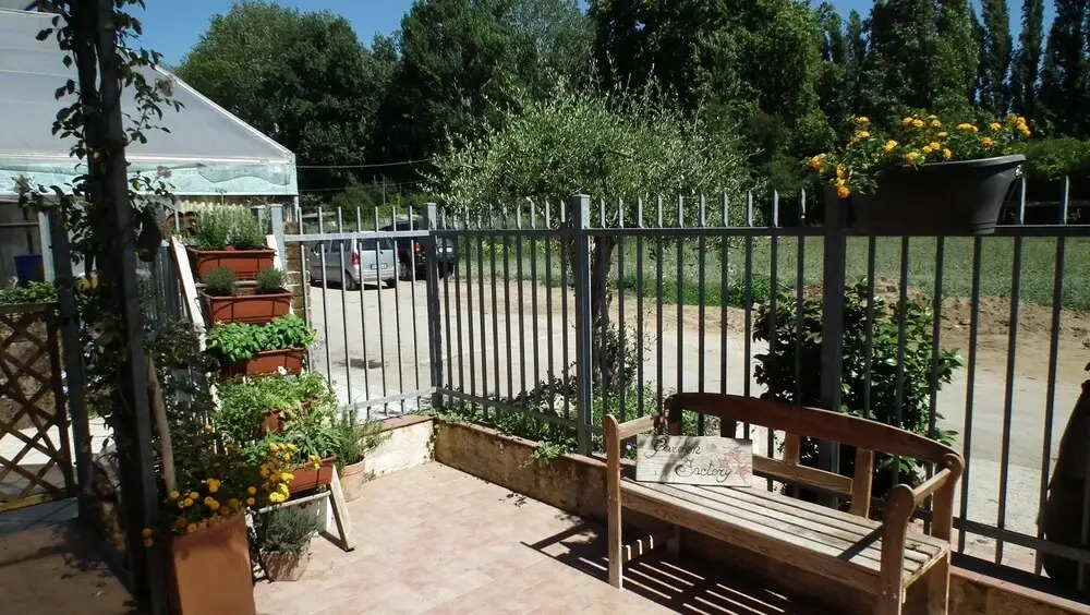 Apartment With one Bedroom in Viareggio, With Wonderful Mountain View