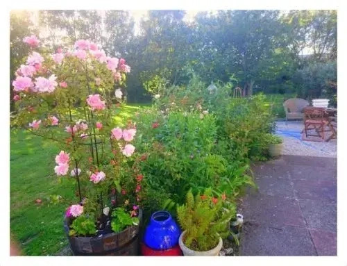 Wintara B&B