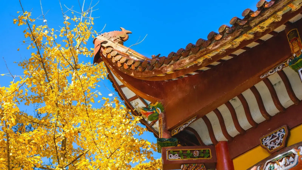 Floral Hotel Jiuhua Mountain Vigorous Bamboo