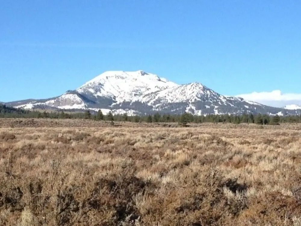Mountainback #74