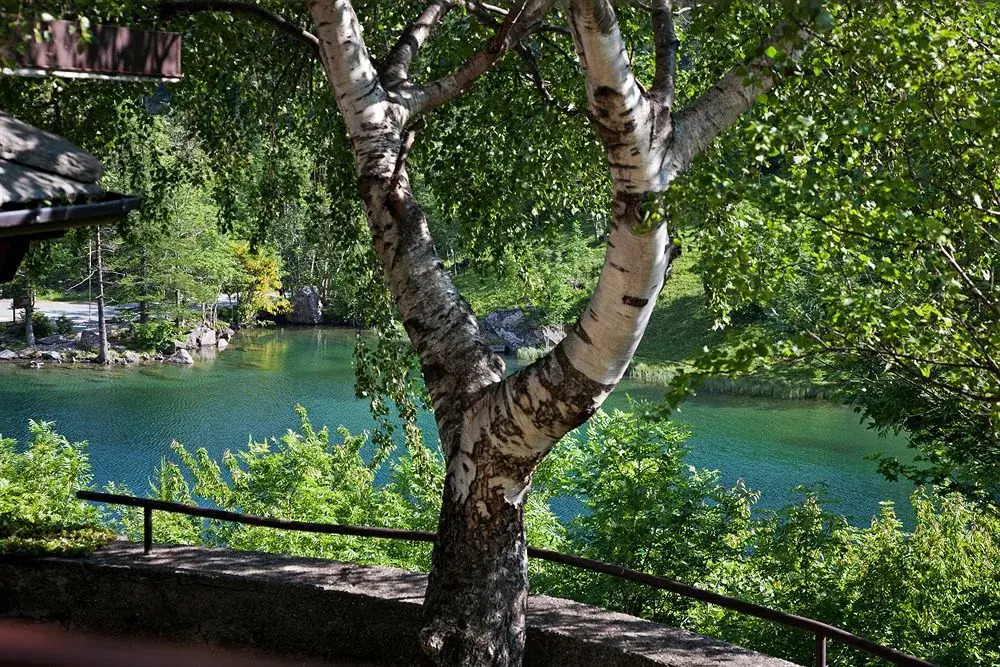 Chalet Sul Lago Hotel In Montagna