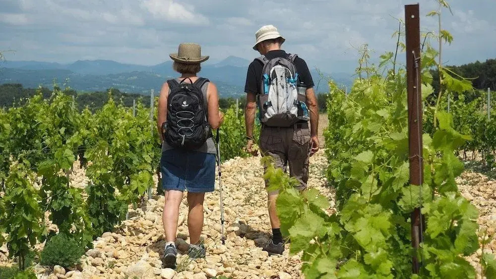 B&B Patios des Vignes