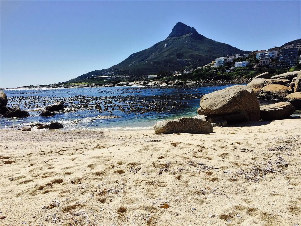 6 on Clifton - Spacious 2 bedroom apartment
