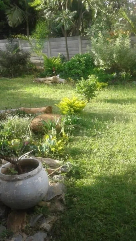 Gunhill guest house
