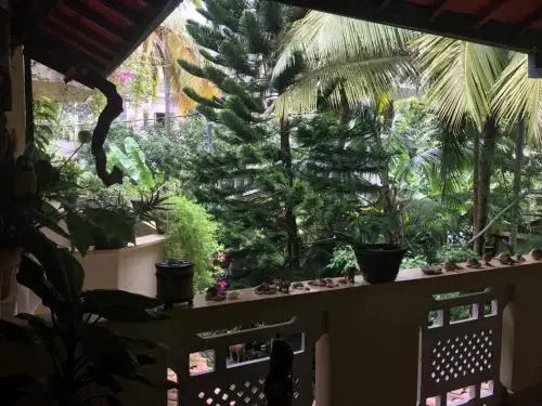 Palm grove