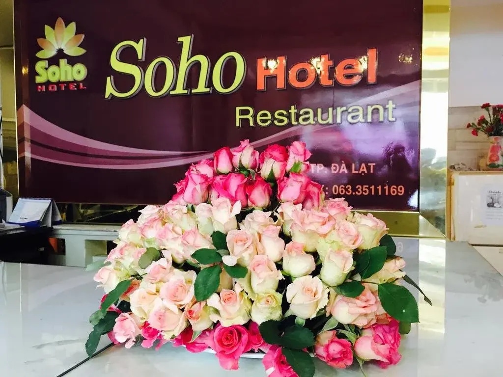 Hotel DaLater
