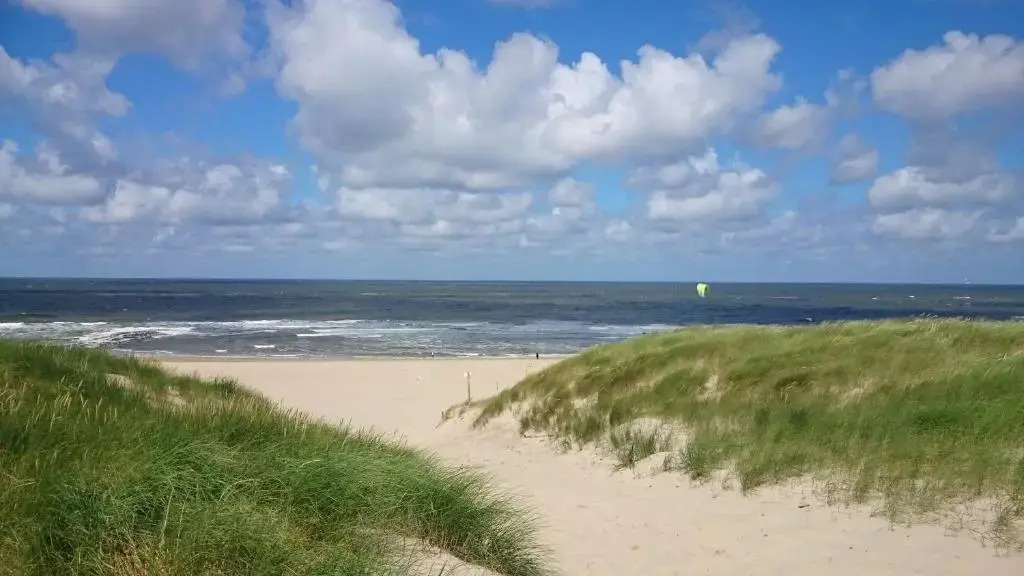 t lant van Texsel