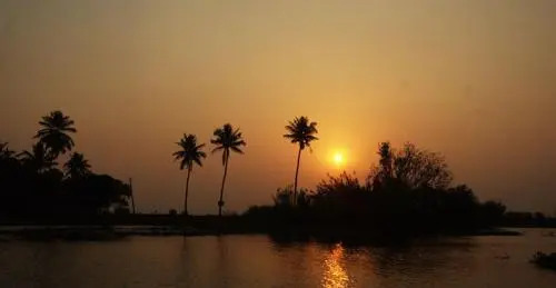 Backwater Breeze