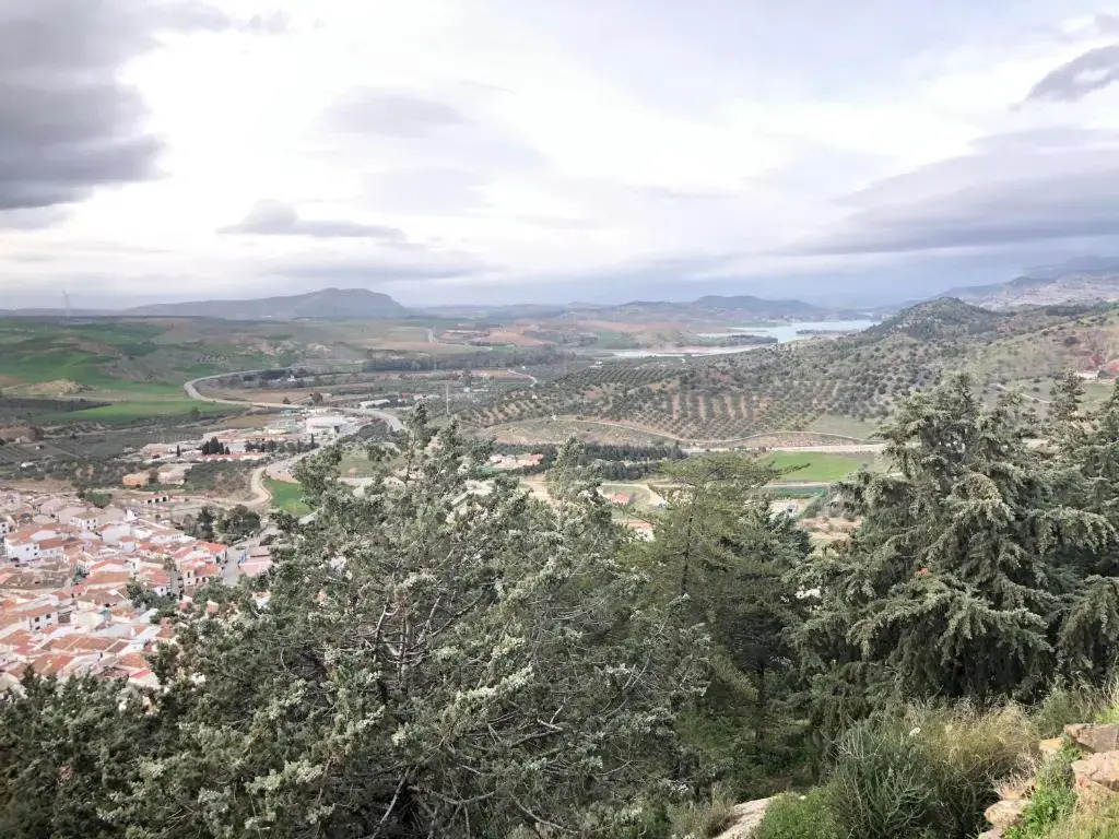 Apartamento Amapola