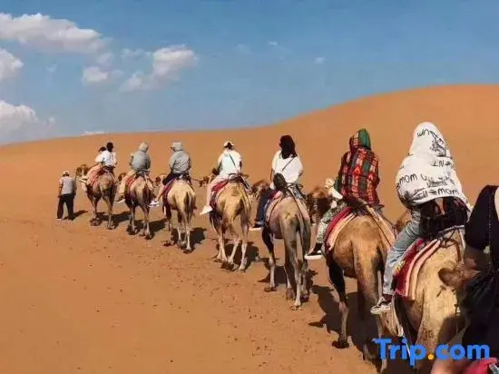 Tengger Desert Yingsha Good - dream Desert Campground