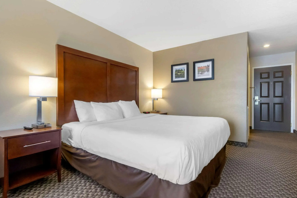 Comfort Inn Lethbridge South