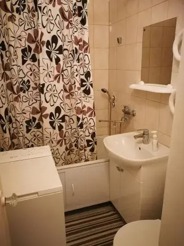 Convenient Central Apartment