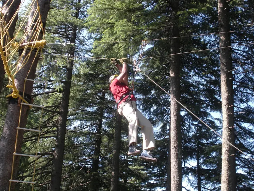 Aamod Dalhousie