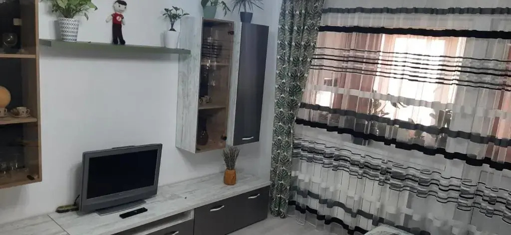 Apartament Liviu Strada Rozelor Etaj 3