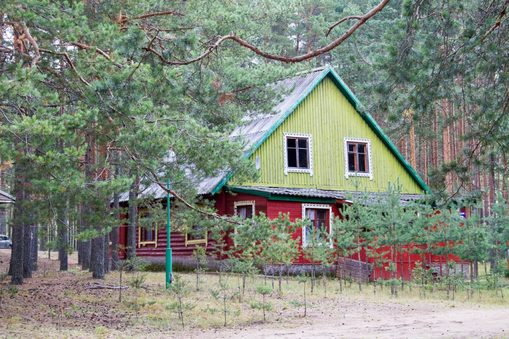 Chajka