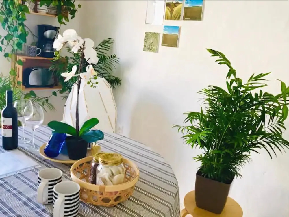 LSJade Apartment
