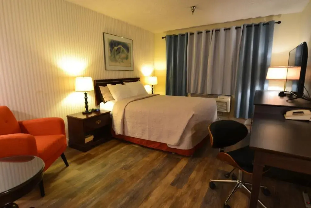 Hotel International