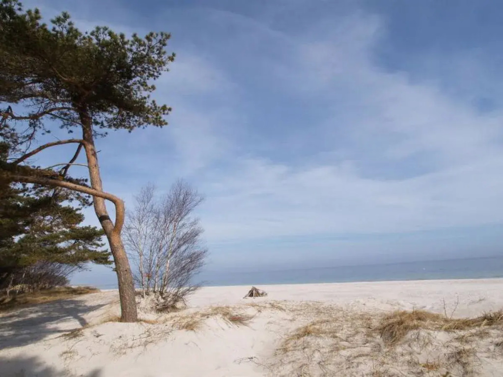 Holiday Home Gunder - 125m from the sea by Interhome