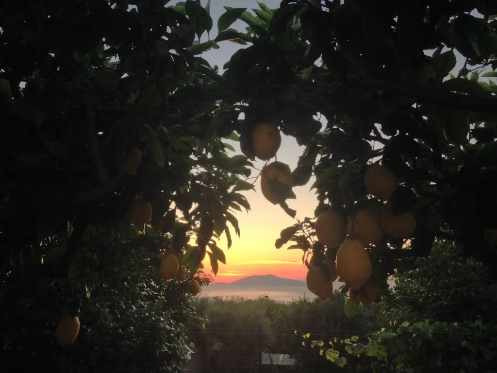 Hotel Al Mulino - Mediterranean Garden Retreat in AnaCapri