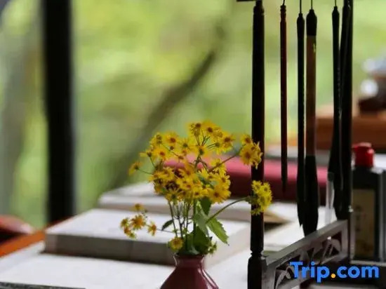 Mount Qingcheng Three Cats  Forest Spa Homestay