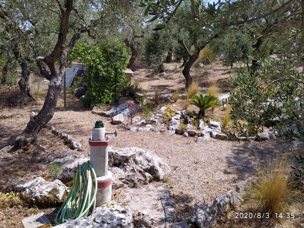 Il giardino di Mary
