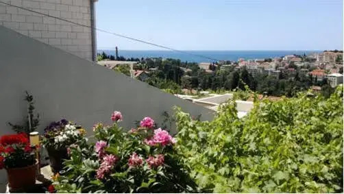 Guesthouse Petrusic