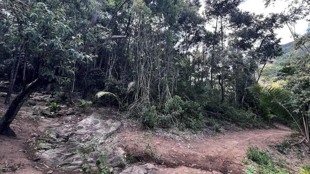 Sítio Morro do Balaio