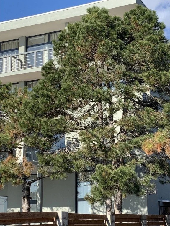 Bazalt club hotel