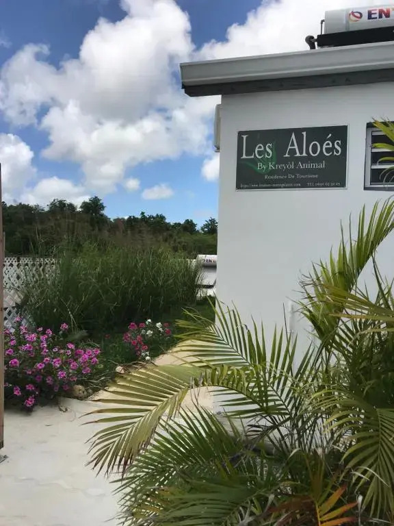 Les Aloés
