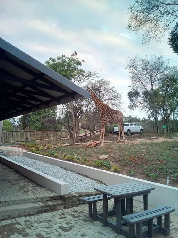 Hazyview Buffalo Game Lodge