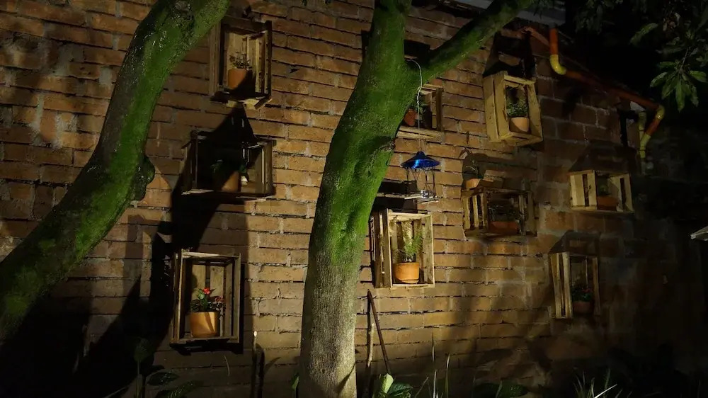 El Jardín de la 10