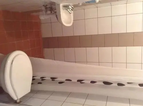 CoolTour Hostel