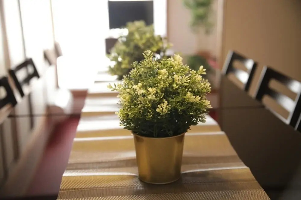 Omotenashi House Part 1 (174-1)