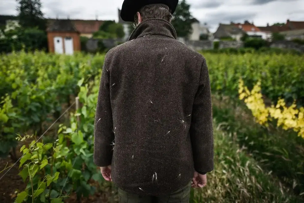 Château Armand Heitz - Domaine Armand Heitz