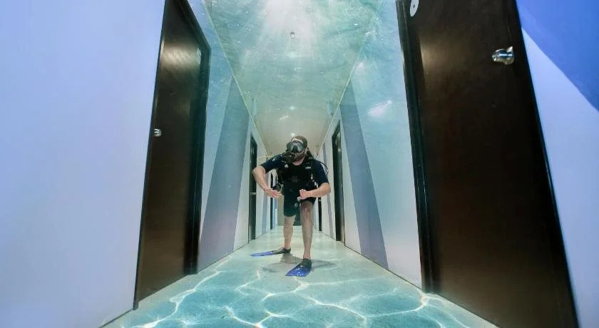 2tank Dive Hostel Cozumel