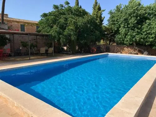 Finca Albenyeta