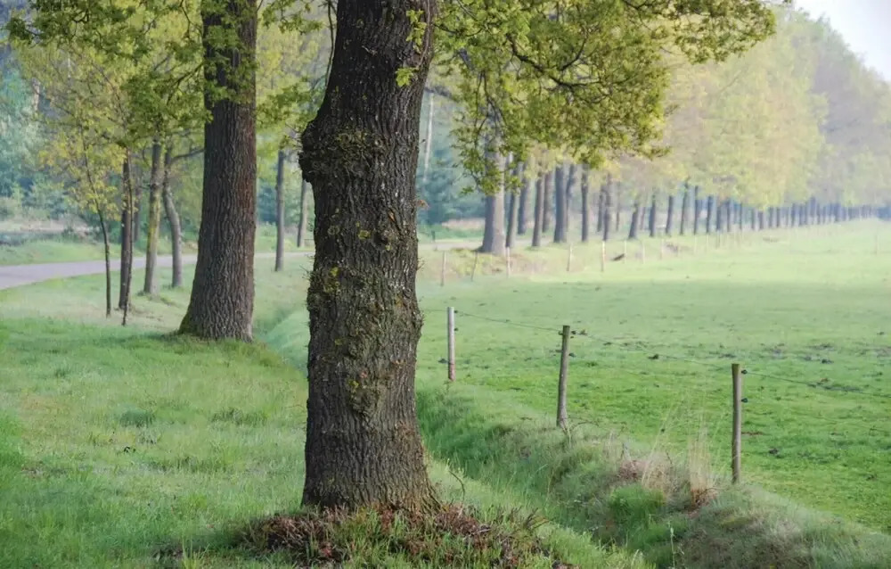 Het Uitzicht